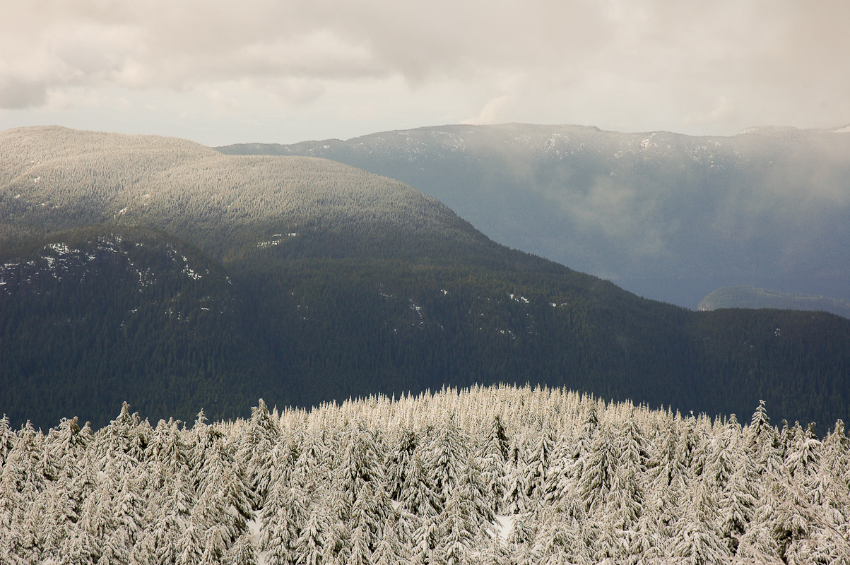 Snowlines