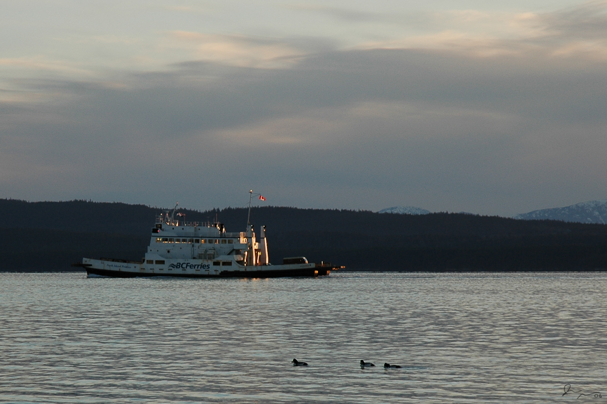 Welcoming the North Island Princess