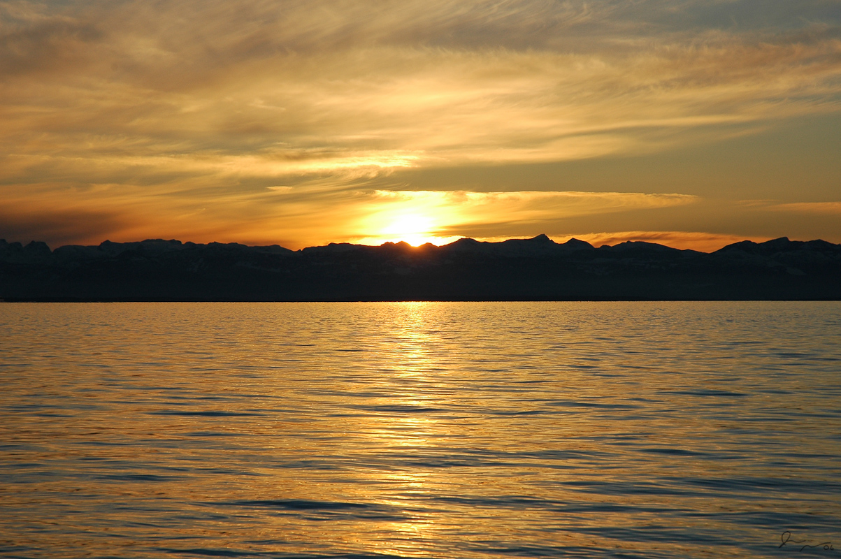 Amber Seas